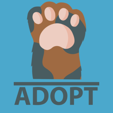 Motiv Hund Hunde Dog