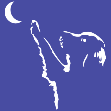 Motiv Hund Hunde Dog