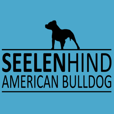 Motiv Hund Hunde Dog