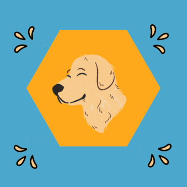 Motiv Hund - reinrassiger Hund