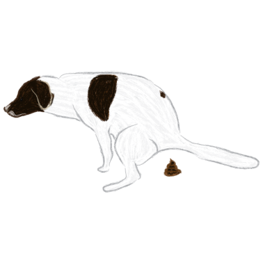 Motiv English Pointer Hund bei seinem Geschäft I