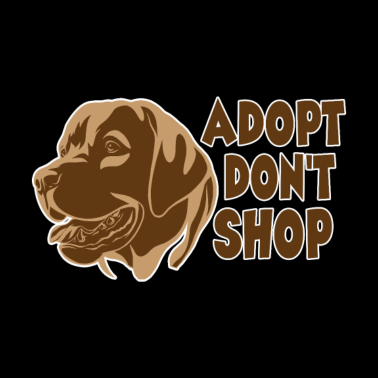 Motiv Tierschutz Tierwohl Hund Hunde Adoption