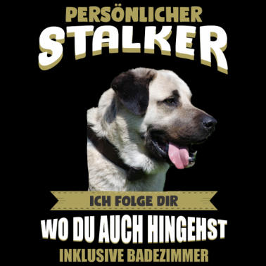 Motiv Kangal - Kangal Hund