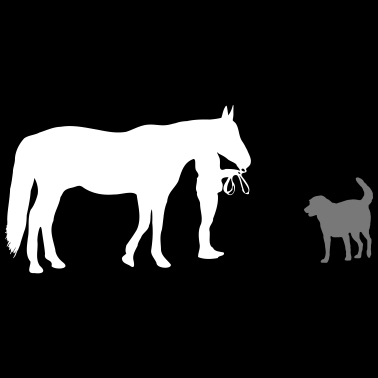 Motiv Pferde - Reiten - Hund - Pferd - Hunde - Reiterin