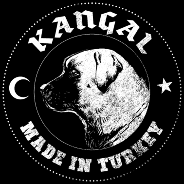 Motiv Kangal