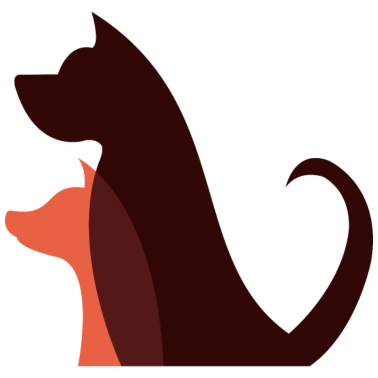 Motiv Hund Hund Hund