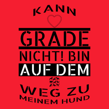 Motiv hund - auf dem Weg zu meinem Hund
