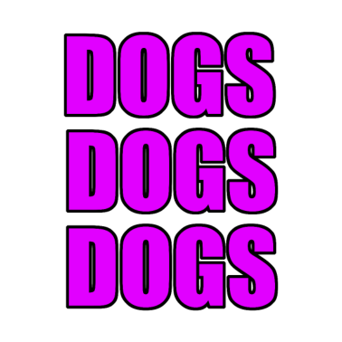 Motiv Hunde Hunde Hunde