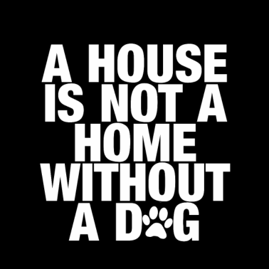 Motiv Hunde Hunde und nochmals Hunde