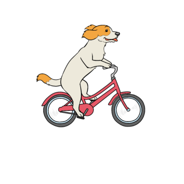 Motiv Hunde Fahrrad Hund