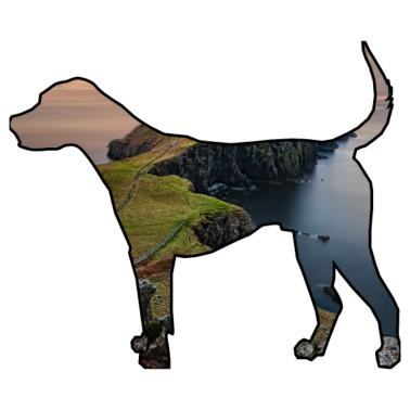 Motiv Der Hund, ich kann keinen Hund haben.