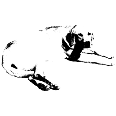 Motiv Hund Hunde Geschenk