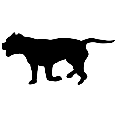 Motiv Jeder Hund ist anders