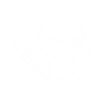 Motiv Hundehalter Hund Cooler Hund Geschenk Hunde