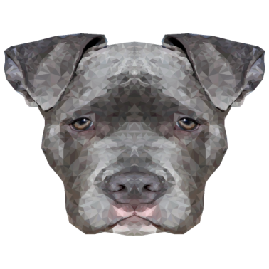 Motiv hund hunde