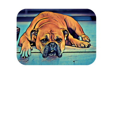 Motiv Hund