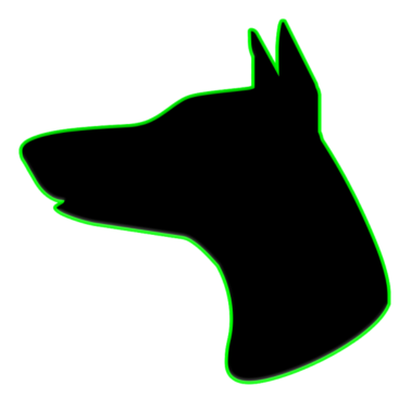 Motiv Hund