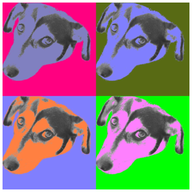 Motiv hund