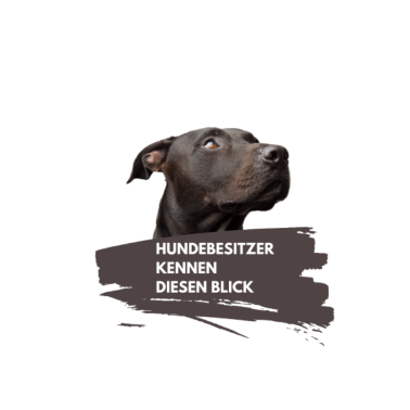 Motiv Hunde
