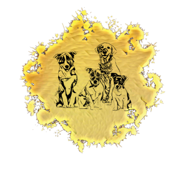Motiv Hunde