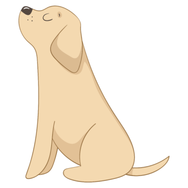 Motiv Hund