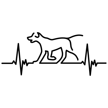 Motiv hunde