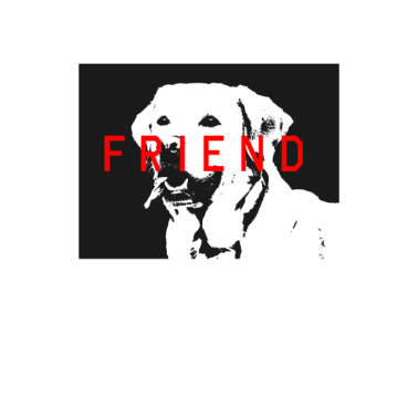Motiv Hund