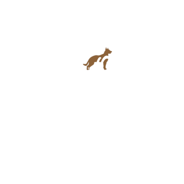 Motiv Hund