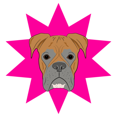 Motiv Hund