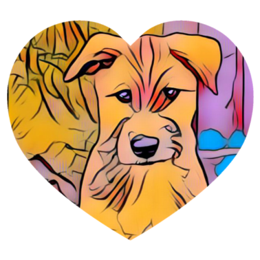 Motiv Hund