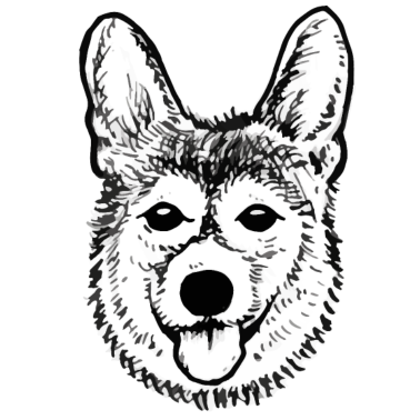 Motiv Hund
