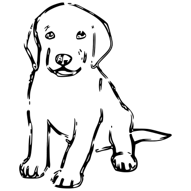 Motiv Hund