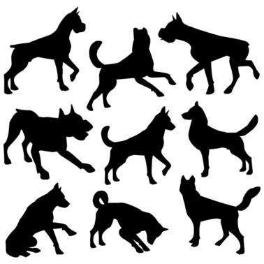 Motiv Hunde