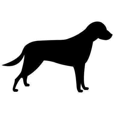 Motiv hund