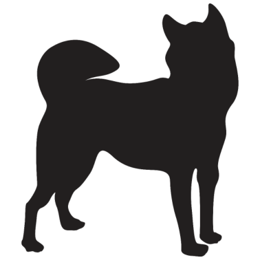 Motiv Hunde