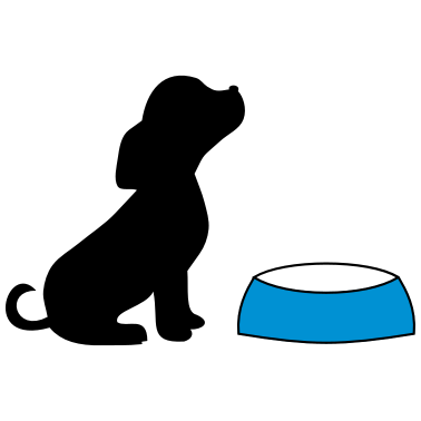 Motiv hund