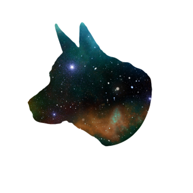 Motiv Hund