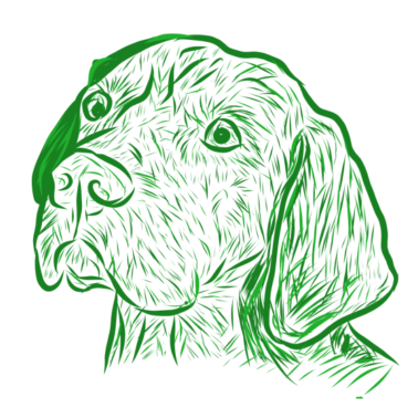 Motiv Hund