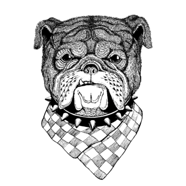 Motiv Hund