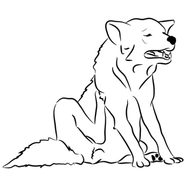 Motiv Hund