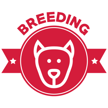 Motiv Züchter / Zucht / Tier / Hund / Katze