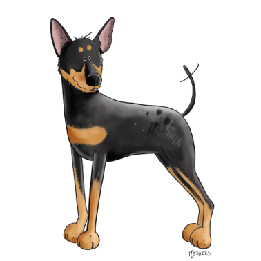 Motiv Deutscher Pinscher I Zwergpinscher Hunde Geschenk