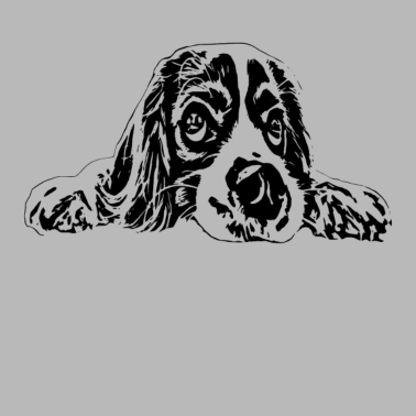 Motiv Hund