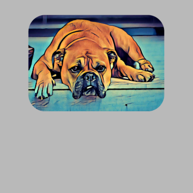 Motiv Hund