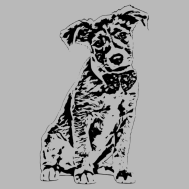 Motiv Hund