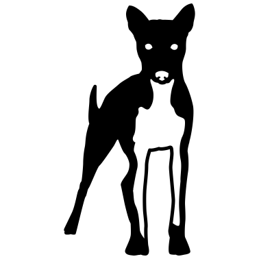 Motiv Hunde