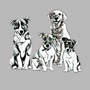 Motiv Hunde