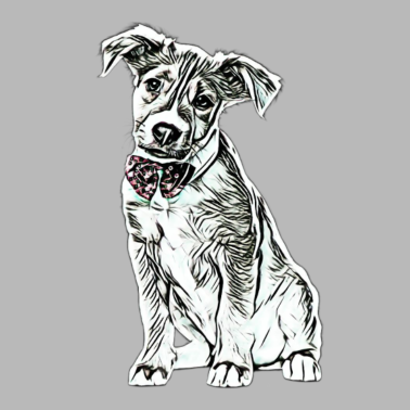 Motiv Hund