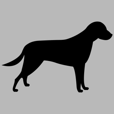 Motiv hund