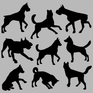 Motiv Hunde